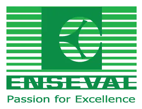 Enseval client logo